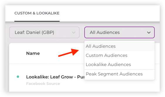 Audiences_2.png