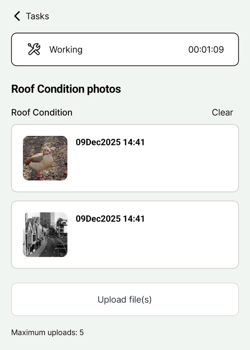 WhatsApp Image 2025-12-09 at 2.42.00 pm.jpeg